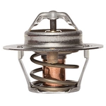 Order CALORSTAT AUTOMOTIVE - TH5977.88 - Thermostat For Your Vehicle