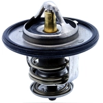 Order CALORSTAT AUTOMOTIVE - TH6587.82J - Thermostat For Your Vehicle