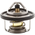 Order CALORSTAT AUTOMOTIVE - TH6737.88J - Thermostat For Your Vehicle