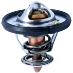 Order Thermostat by CALORSTAT AUTOMOTIVE - TH7310.77J For Your Vehicle