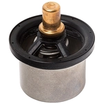 Order CALORSTAT AUTOMOTIVE - THS16957.82 - Thermostat For Your Vehicle