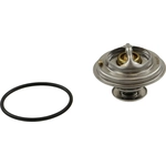 Order Thermostat de CRP/REIN - CTN0076 For Your Vehicle