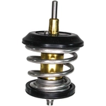 Order CRP/REIN - CTI0010 - Thermostat For Your Vehicle