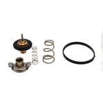 Order CRP/REIN - CTN0044 - Thermostat For Your Vehicle