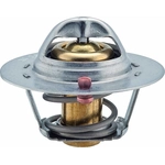 Order Thermostat by FACET - 7.8364S For Your Vehicle