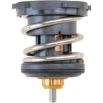Order Thermostat by MAHLE ORIGINAL - TX252-87 For Your Vehicle