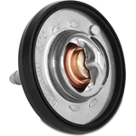 Order Thermostat par MISHIMOTO AUTOMOTIVE - MMTS-JGC99L For Your Vehicle