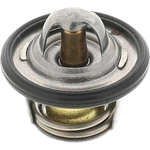 Order Thermostat by MOTORAD - 1071-198 For Your Vehicle