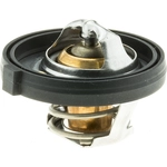 Order Thermostat by MOTORAD - 340-195 For Your Vehicle