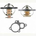 Order MOTORAD - 427457 - Thermostat For Your Vehicle