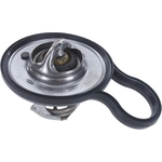 Order Thermostat by MOTORAD - 449-190 For Your Vehicle