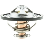 Order Thermostat by STANT - 48839 For Your Vehicle