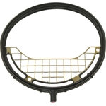 Order Throttle Body Base Gasket by BLUE STREAK (HYGRADE MOTOR) - FJG137 For Your Vehicle
