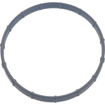 Order Throttle Body Base Gasket by BLUE STREAK (HYGRADE MOTOR) - TBG128 For Your Vehicle