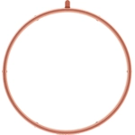 Order Throttle Body Base Gasket by MAHLE ORIGINAL - G33829 For Your Vehicle