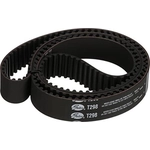 Order Timing Belt by GATES - T298 For Your Vehicle
