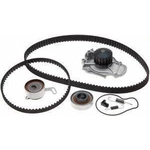 Order Timing Belt Kit With Water Pump by ACDELCO PROFESSIONAL - TCKWP244 For Your Vehicle