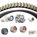 Order Timing Belt Kit With Water Pump by DAYCO - WPE328K1A For Your Vehicle