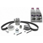 Order Timing Belt Kit With Water Pump by VAICO - V10-50107 For Your Vehicle