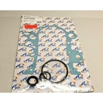 Order Timing Cover Gasket Set by APEX AUTOMOBILE PARTS - ATC2530 For Your Vehicle
