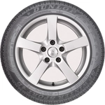 Order SP Winter Sport 4D by DUNLOP - 19" Tire (255/50R19) For Your Vehicle