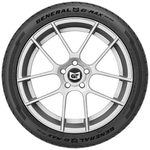 Order GENERAL TIRE - 15509540000 - G-Max AS-05 Tires For Your Vehicle