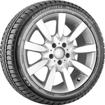 Order CHAMPIRO WINTERPRO HP by GT RADIAL - 17" Tire (225/55R17) For Your Vehicle