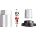 Order Tire Pressure Monitoring System Sensor Service Kit by DENSO - 999-0617 For Your Vehicle