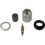 Order DORMAN - 609-111 - Tire Pressure Monitoring System (TPMS) Sensor Service Kit For Your Vehicle