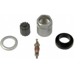 Order Tire Pressure Monitoring System Sensor Service Kit by DORMAN (OE SOLUTIONS) - 609-111 For Your Vehicle
