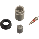 Order SCHRADER AUTOMOTIVE - 20007 - TPMS Service Pack For Your Vehicle