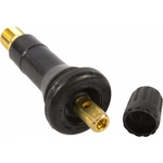 Order MOTORCRAFT - TPMS76 - Tire Pressure Monitoring System (TPMS) Service Kit For Your Vehicle