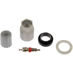 Order Ensemble de valve de surveillance de la pression des pneus par DORMAN (OE SOLUTIONS) - 609-108.1 For Your Vehicle