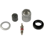 Order Ensemble de valve de surveillance de la pression des pneus par DORMAN (OE SOLUTIONS) - 609-111 For Your Vehicle
