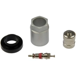 Order Tire Pressure Monitoring System Valve Kit by DORMAN (OE SOLUTIONS) - 609-113 For Your Vehicle