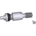 Order Tire Pressure Monitoring System Valve Kit by STANDARD - PRO SERIES - TPM2012VK For Your Vehicle