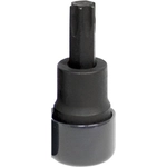 Order Torx Bit Set by LISLE - 82290 For Your Vehicle