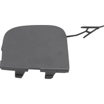 Order Tow Hook Cover - FO1029133 For Your Vehicle