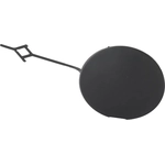 Order Tow Hook Cover - GM1029141 For Your Vehicle