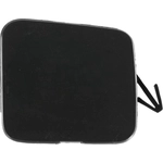 Order Tow Hook Cover - IN1029100 For Your Vehicle