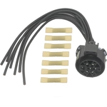 Order BWD AUTOMOTIVE - PT2224 - Trailer Tow Relay Connector For Your Vehicle