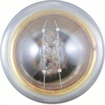 Order Trunk Light by PHILIPS - 631B2 For Your Vehicle