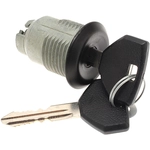 Order BLUE STREAK (HYGRADE MOTOR) - TL234B - Trunk Lock Kit For Your Vehicle