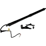 Order DORMAN (OE SOLUTIONS) - 747-050 - Liftgate Cylinder For Your Vehicle