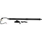 Order DORMAN (OE SOLUTIONS) - 747-051 - Liftgate Cylinder For Your Vehicle