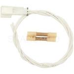 Order Trunk Or Hatch Connector by BLUE STREAK (HYGRADE MOTOR) - S1358 For Your Vehicle