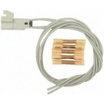 Order Trunk Or Hatch Connector by BLUE STREAK (HYGRADE MOTOR) - S1639 For Your Vehicle