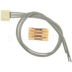 Order Trunk Or Hatch Connector by BLUE STREAK (HYGRADE MOTOR) - S1641 For Your Vehicle