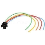 Order BWD AUTOMOTIVE - PT193 - Electrical Connector For Your Vehicle