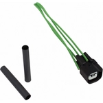Order Trunk Or Hatch Connector by MOTORCRAFT - WPT984 For Your Vehicle